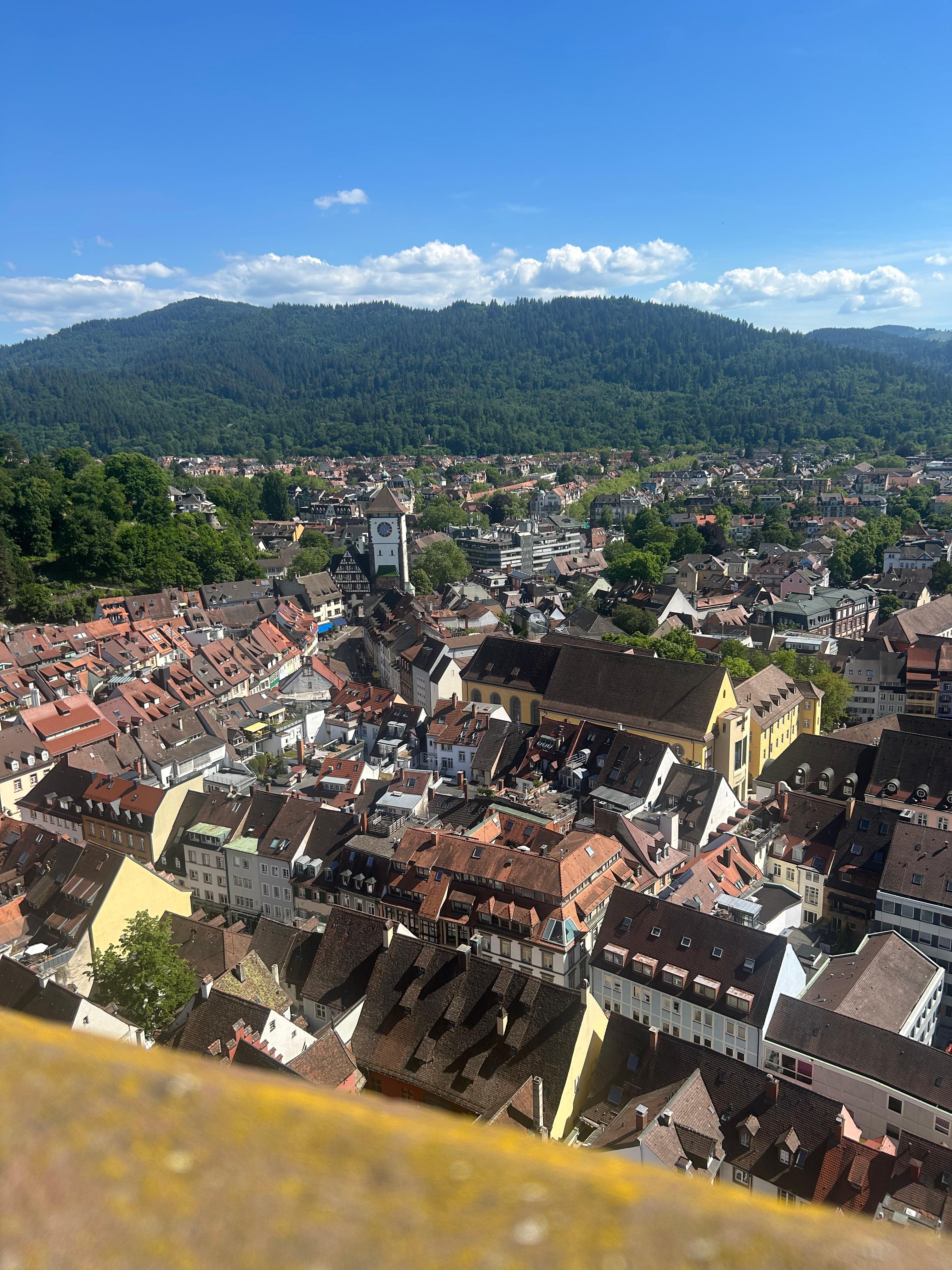 Black Forest